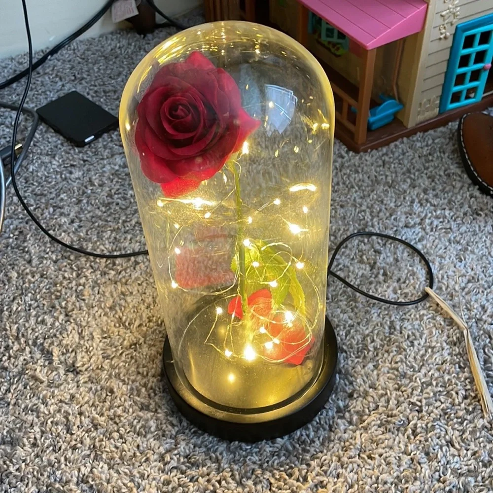USB Beauty and the Beast  nightlight